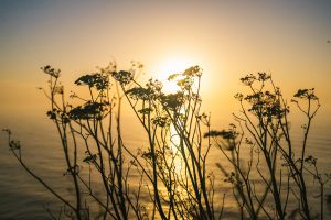 Passing Time – music